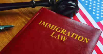 Immigration Law Firm Guide: Advice For Visas